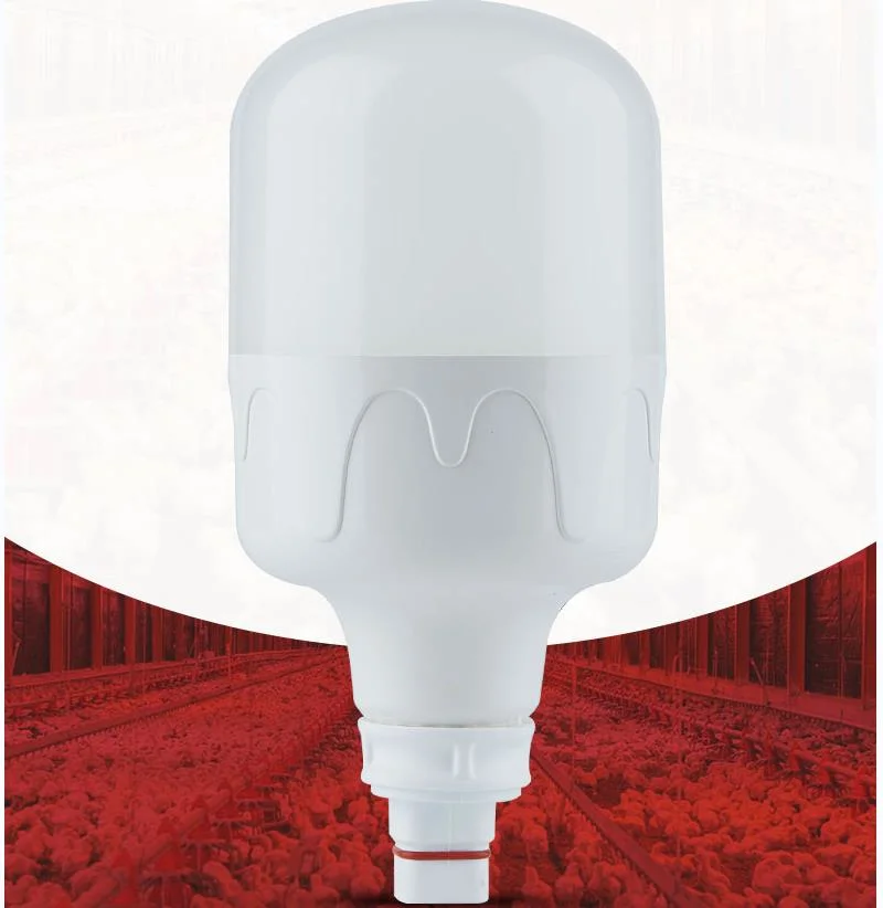 PWM Dimming Triac Dimmable T80 12W IP67 Flicker Free Anti-Corrosion Stress-Free